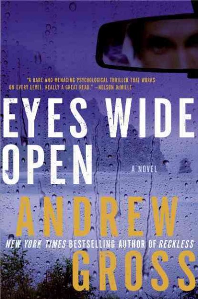 Eyes wide open : a novel / Andrew Gross.