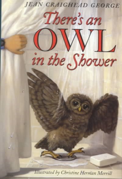 There's an owl in the shower