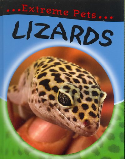 Lizards / Deborah Chancellor.